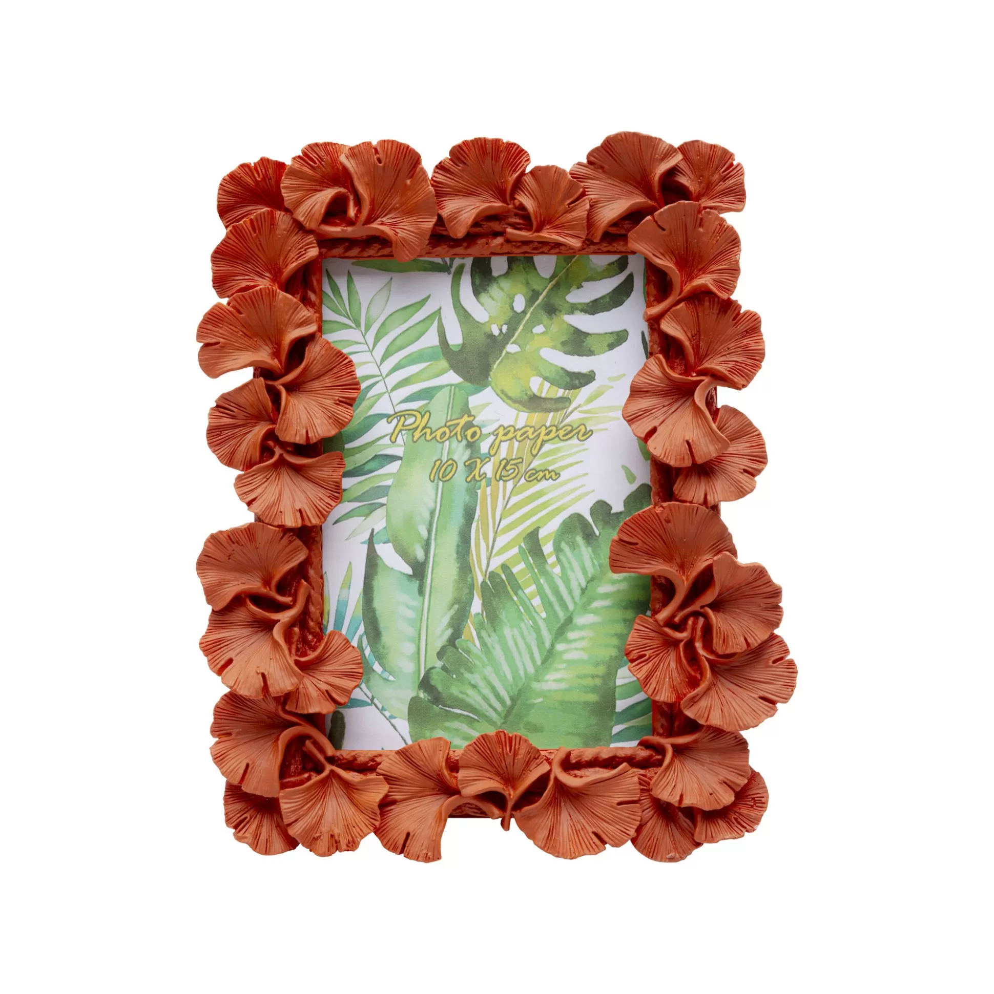 Cadre Photo Feuilles De Ginkgo Oranges 17x21cm ^KARE Design New