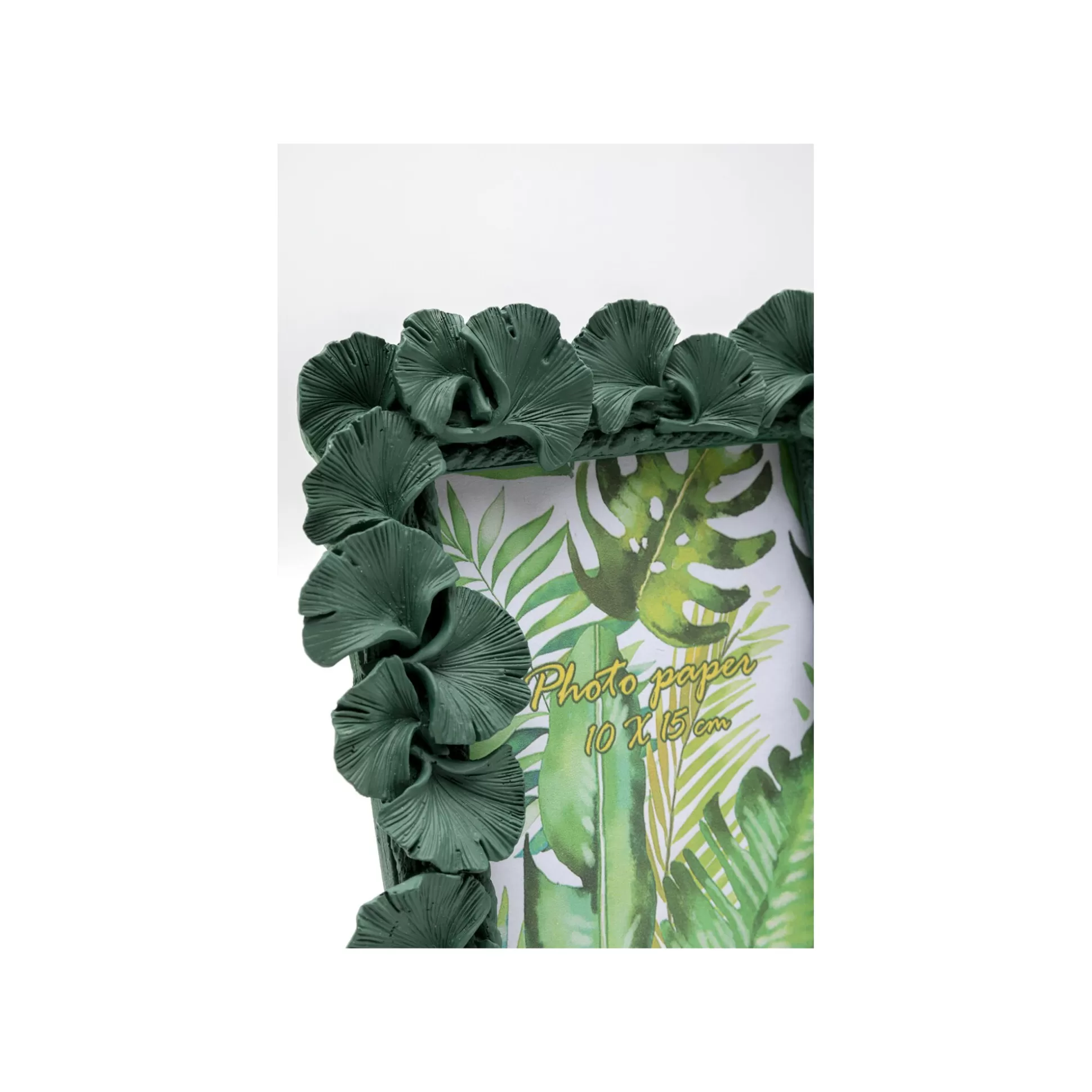 Cadre Photo Feuilles De Ginkgo Vertes 17x21cm ^KARE Design Cheap