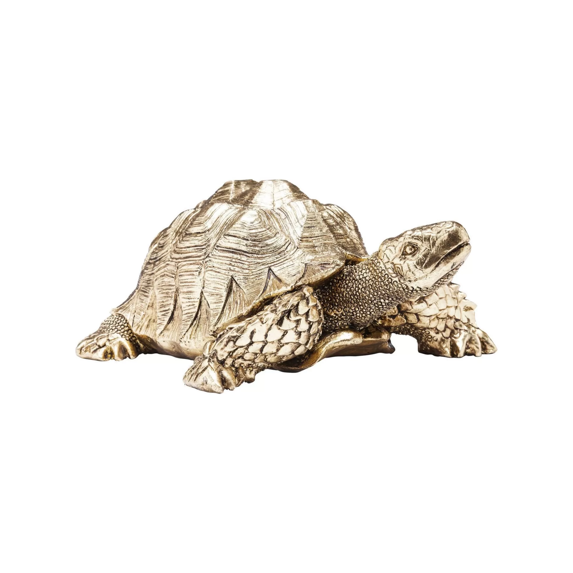 Déco Tortue Dorée 26cm ^KARE Design Online