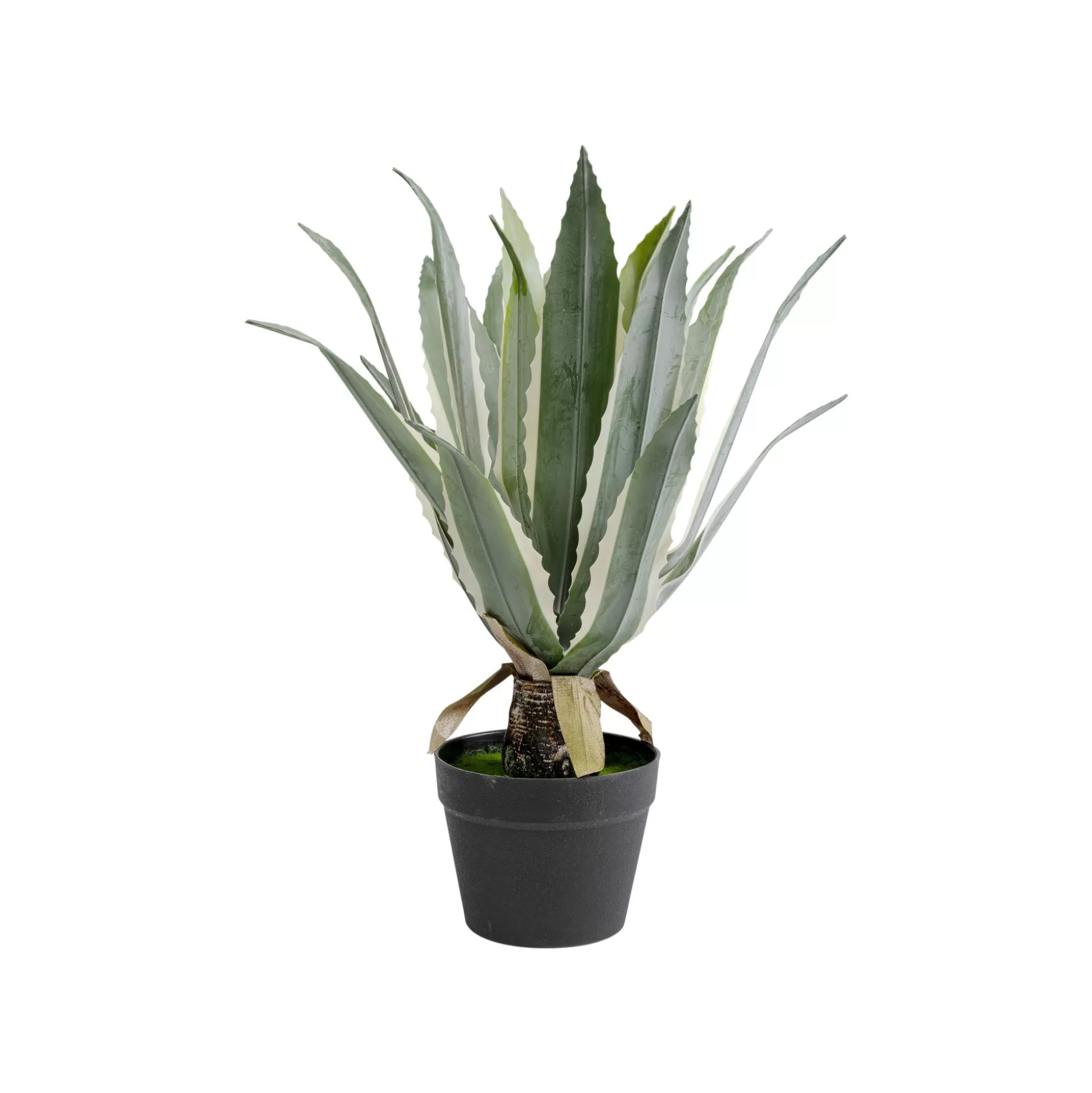 Plante Décorative Agave 50cm ^KARE Design Cheap