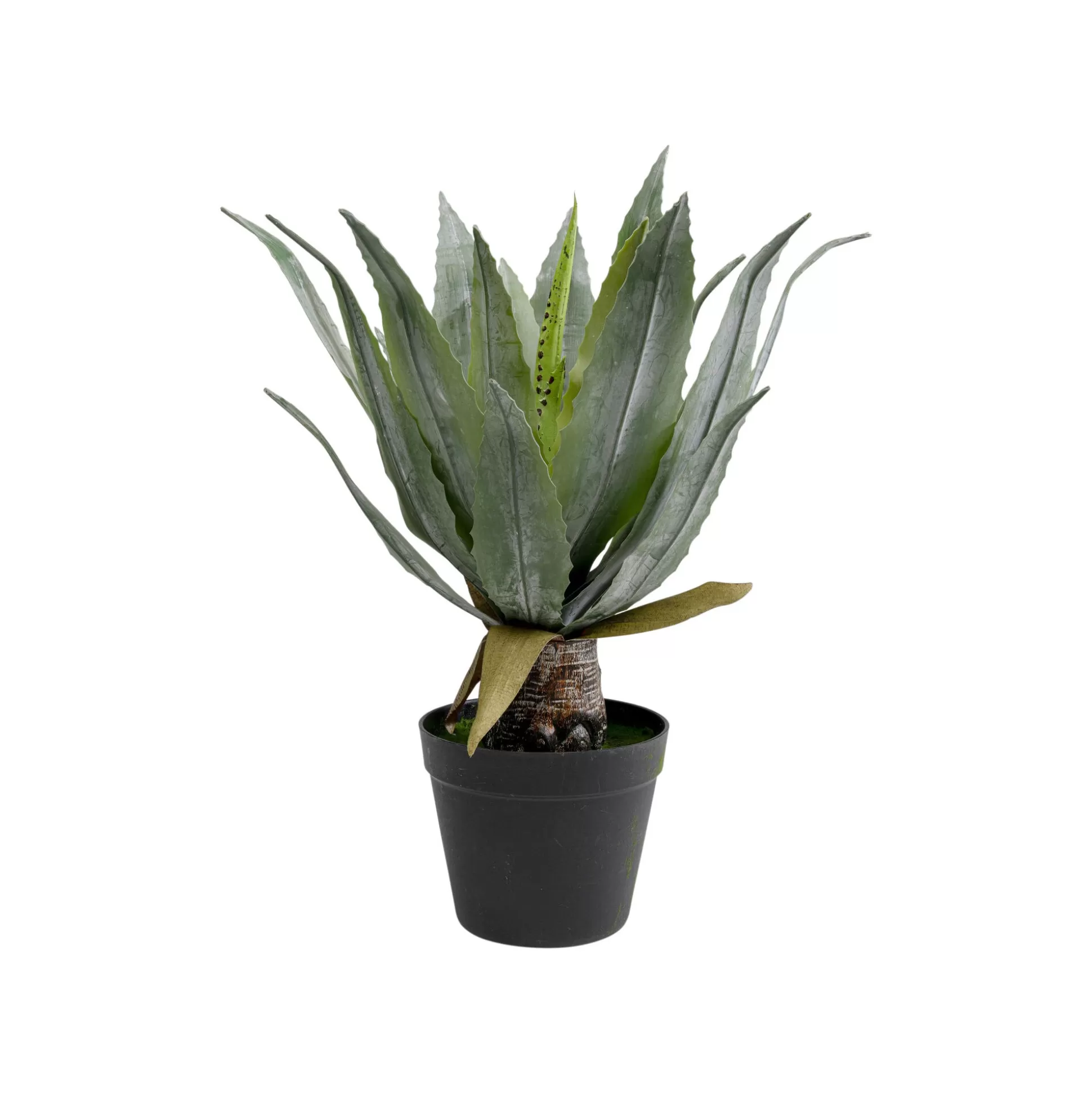 Plante Décorative Agave 40cm ^KARE Design Outlet