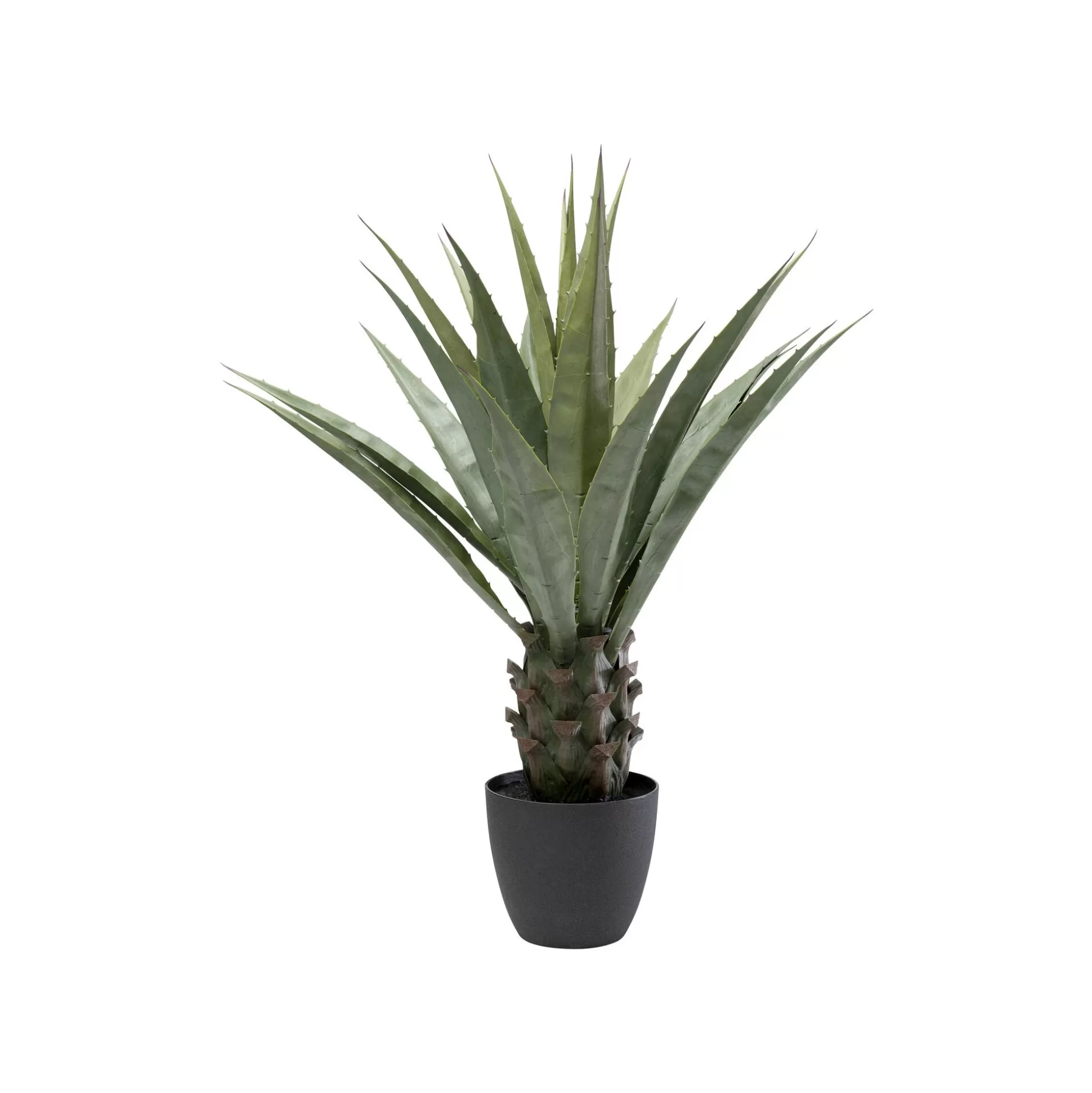 Plante Décorative Agave 85cm ^KARE Design Cheap