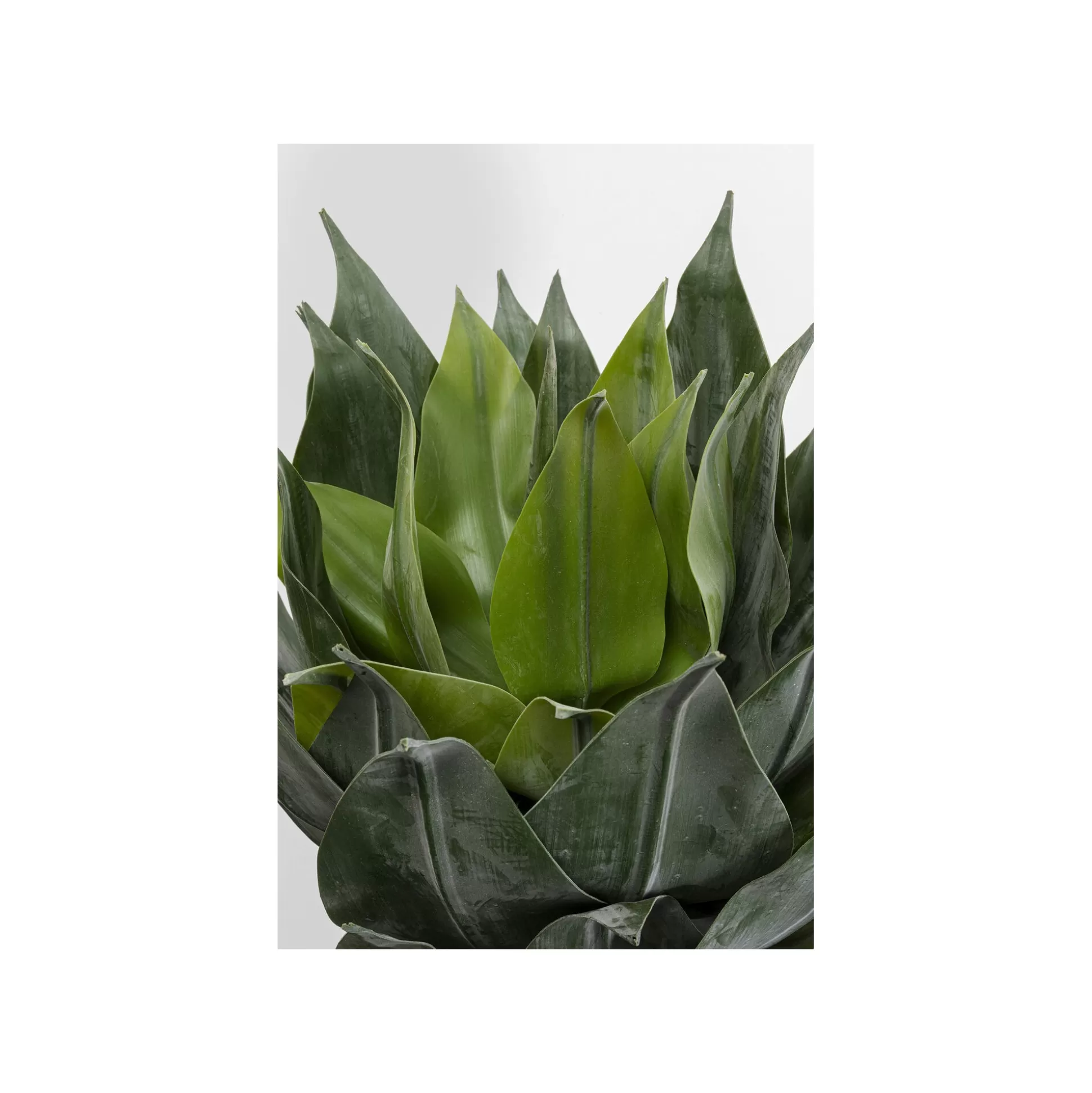 Plante Décorative Agave 120cm ^KARE Design Shop