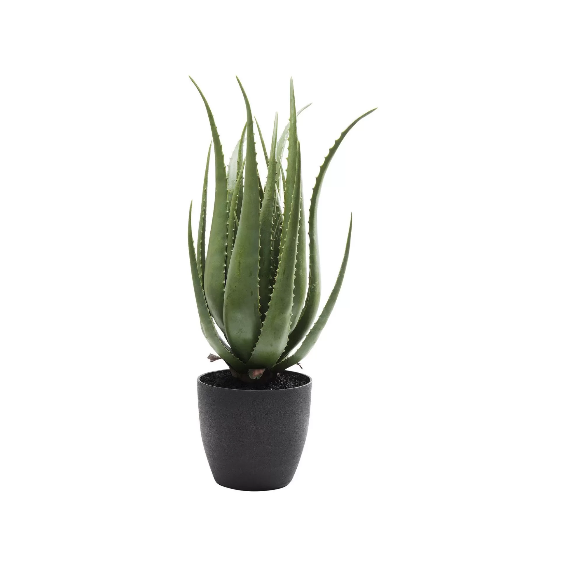 Plante Décorative Aloe ^KARE Design Outlet