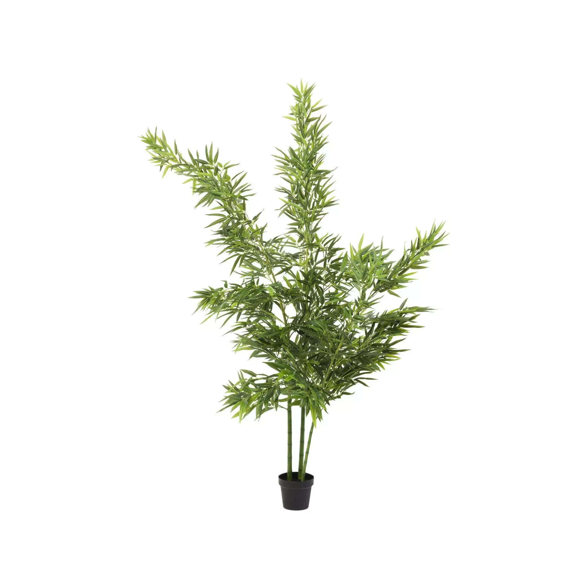 Plante Décorative Bamboo Tree 200cm ^KARE Design New