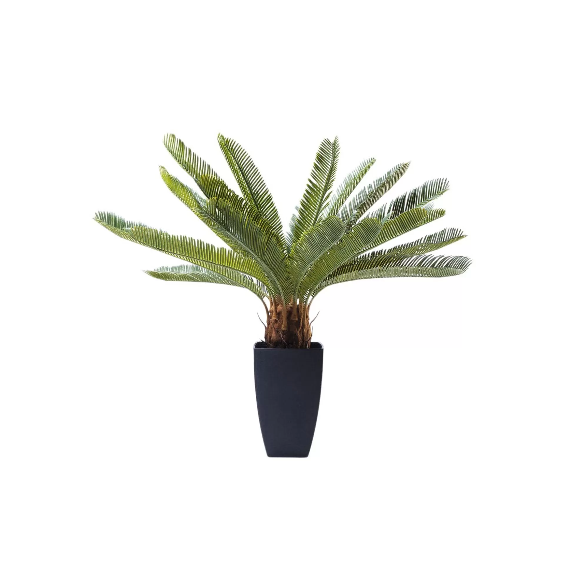 Plante Décorative Cycas 78cm ^KARE Design Best Sale