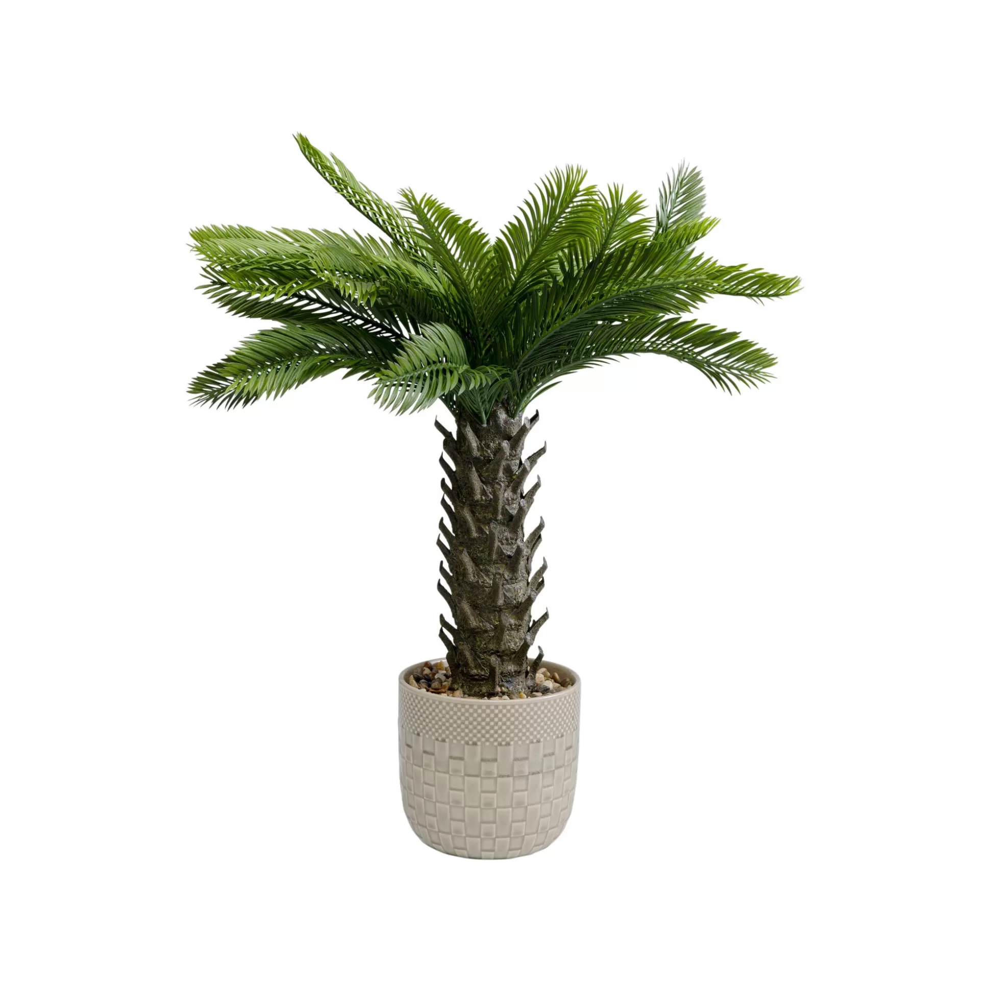 Plante Décorative Cycas 70cm ^KARE Design Flash Sale