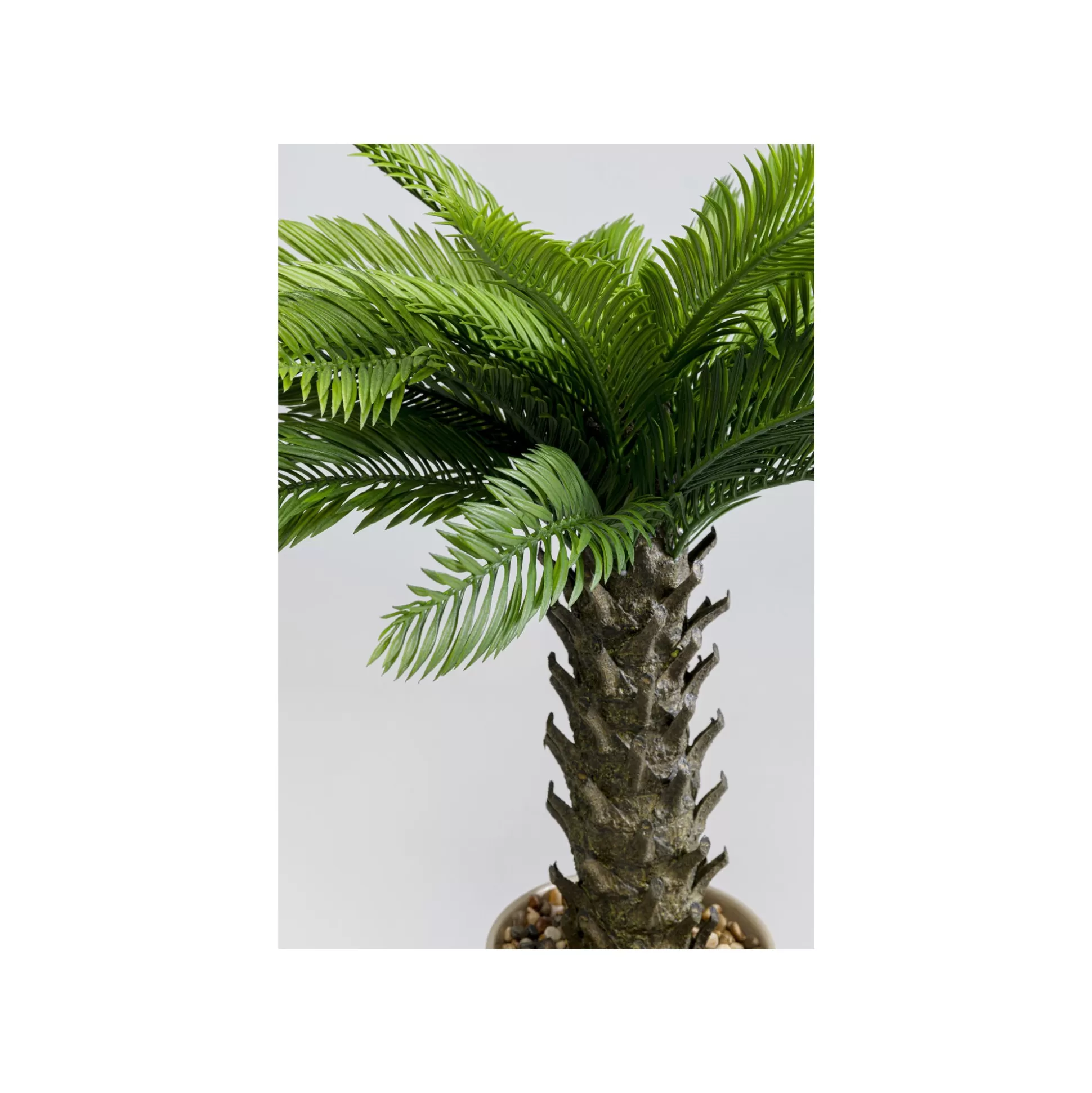 Plante Décorative Cycas 70cm ^KARE Design Flash Sale