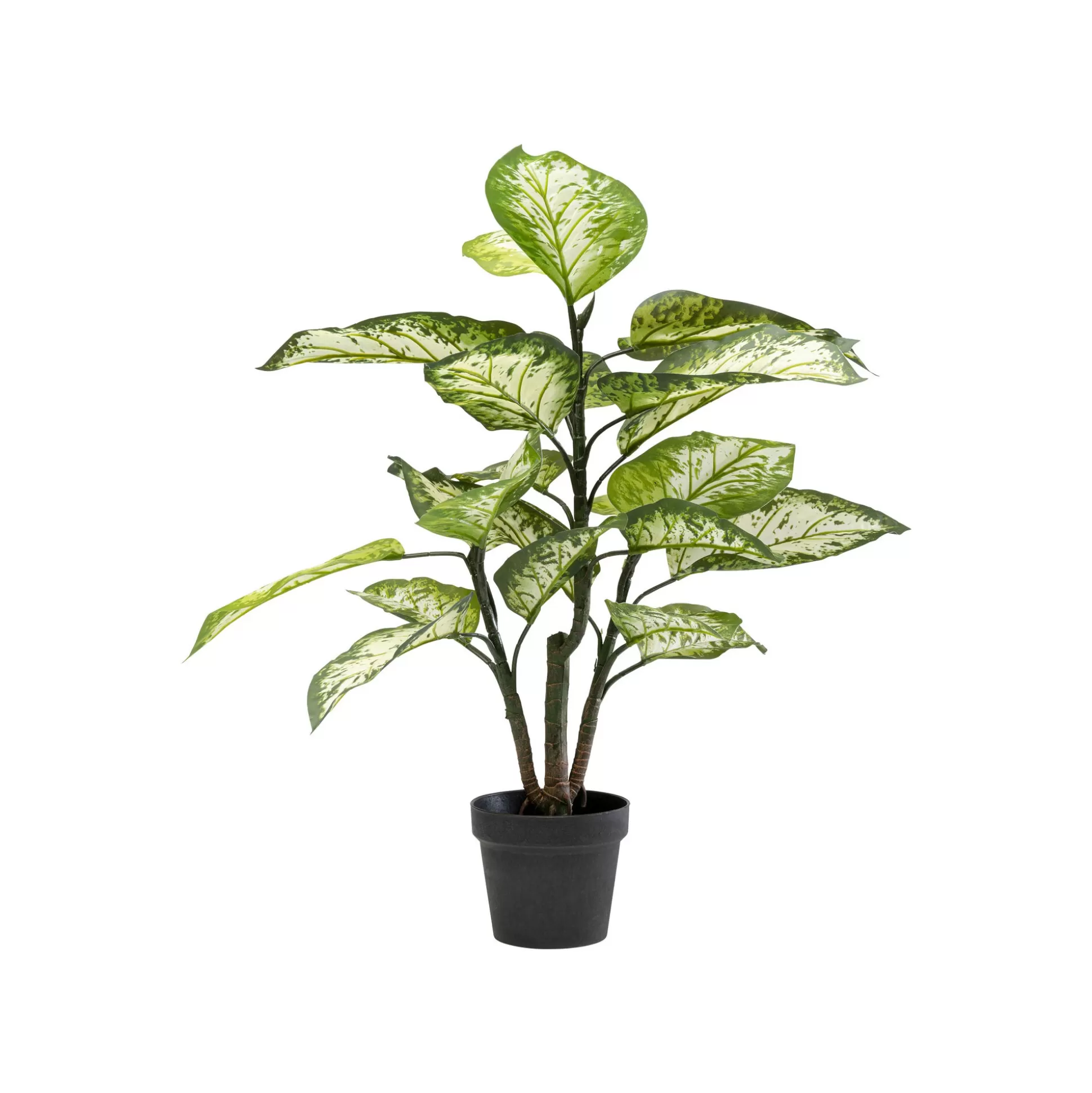 Plante Décorative Dieffenbachia 100cm ^KARE Design Online