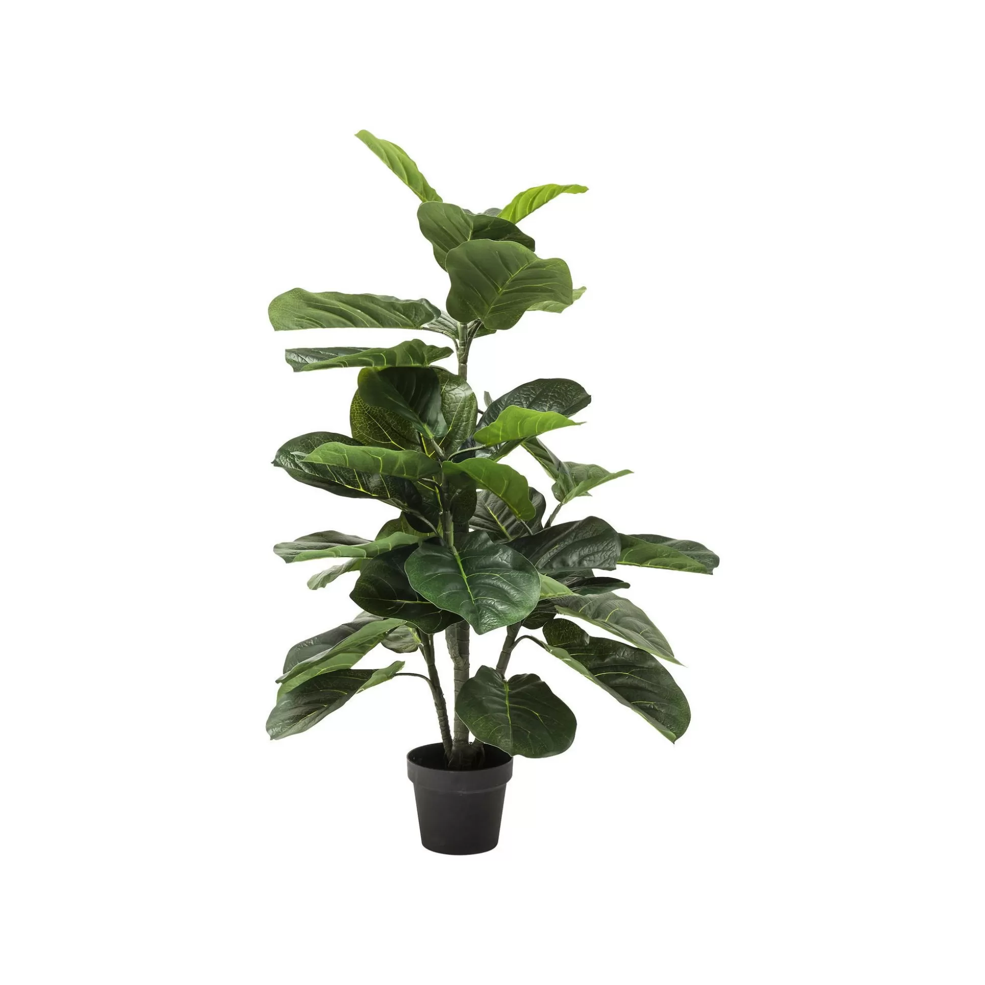 Plante Décorative Figuier Lyre 120cm ^KARE Design Sale