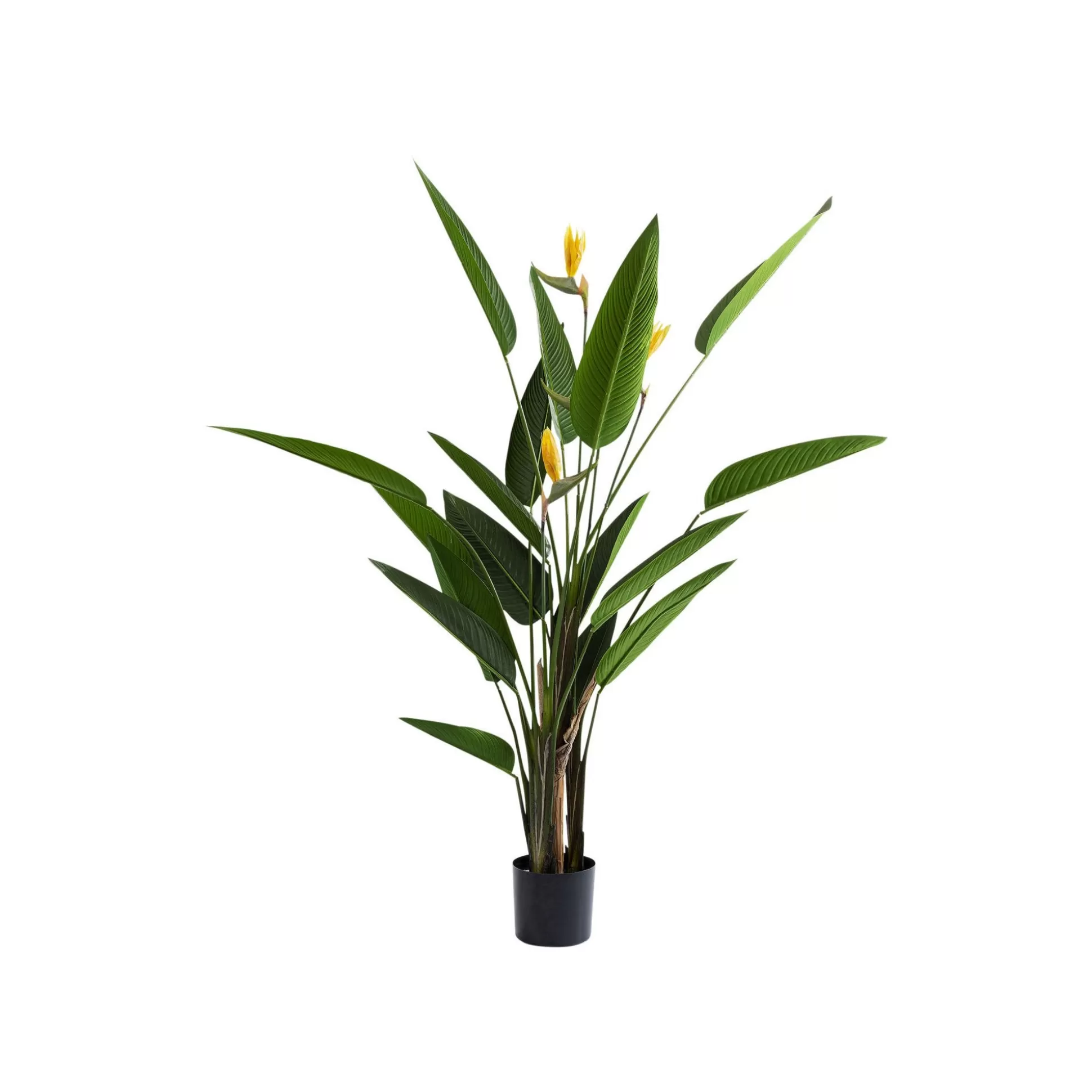 Plante Décorative Oiseau De Paradis 190cm ^KARE Design Best Sale