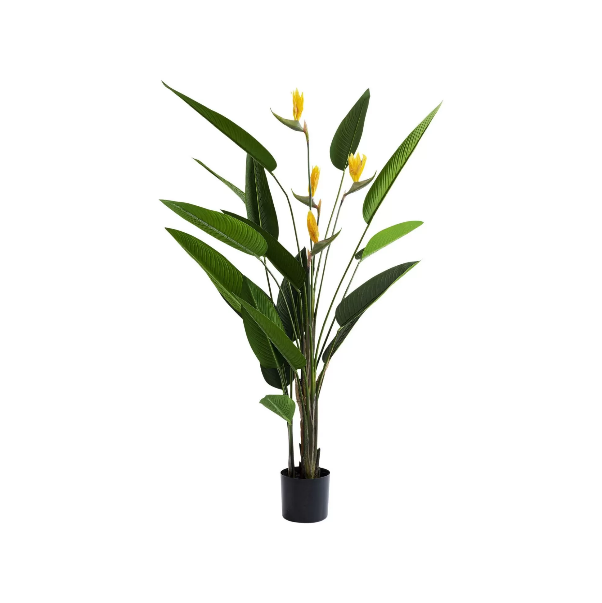 Plante Décorative Oiseau De Paradis 190cm ^KARE Design Best Sale