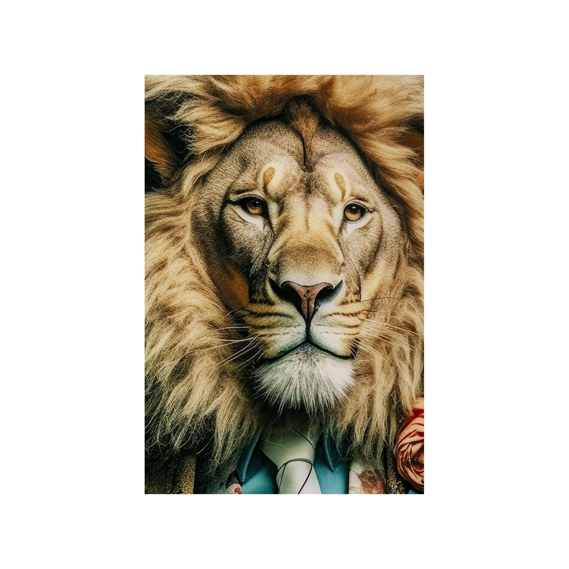 Tableau En Verre Lion Costume 100x150cm ^KARE Design Flash Sale