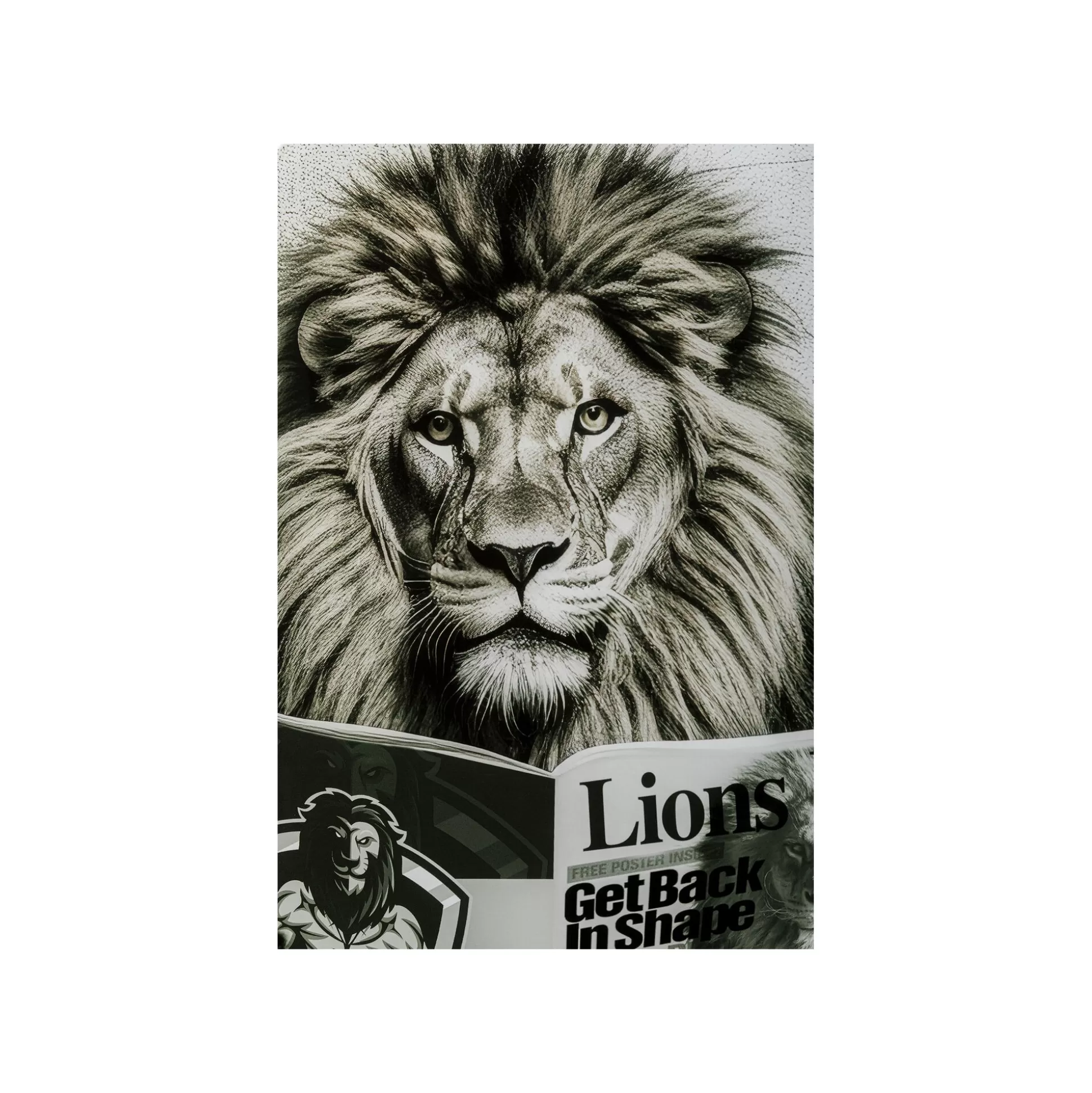 Tableau En Verre Lion Journal 60x80cm ^KARE Design Fashion